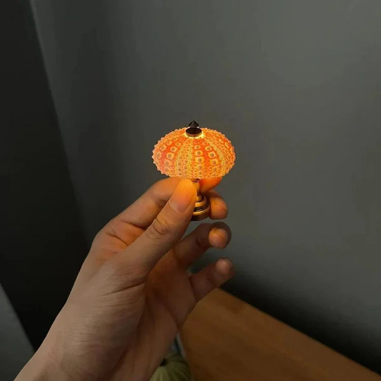 OceanDream - Veilleuse Océan | Lampe de nuit artisanale à base de coquillages naturels