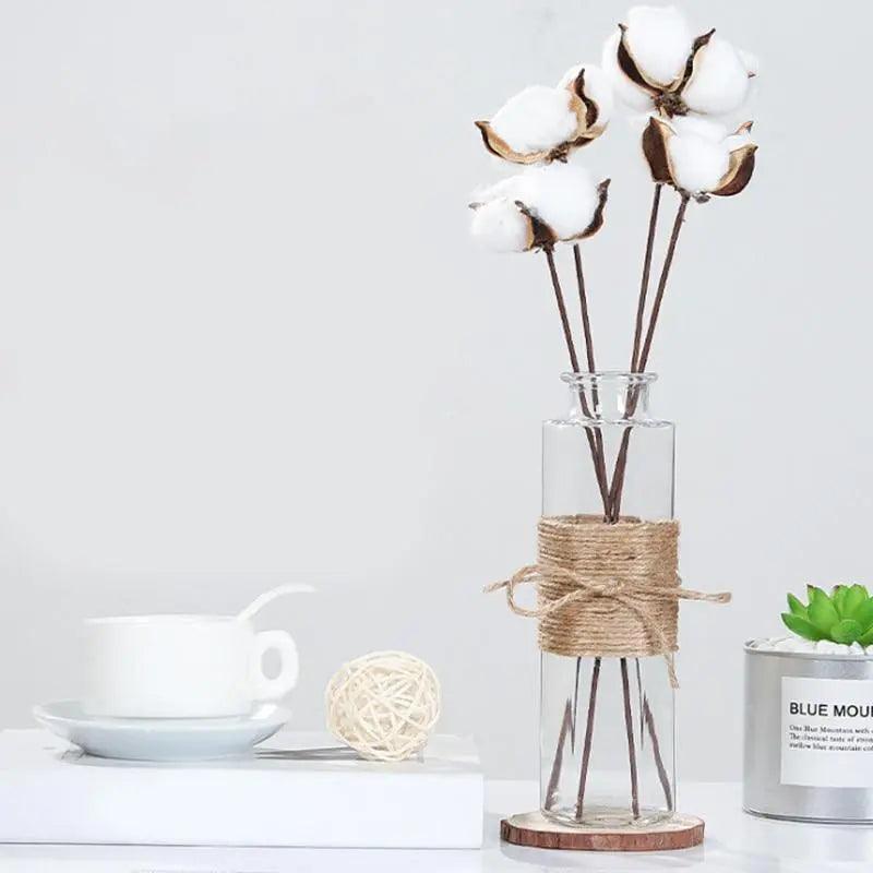 Vases en verre minimalistes | Décorations de table élégantes pour fleurs et hydroponie