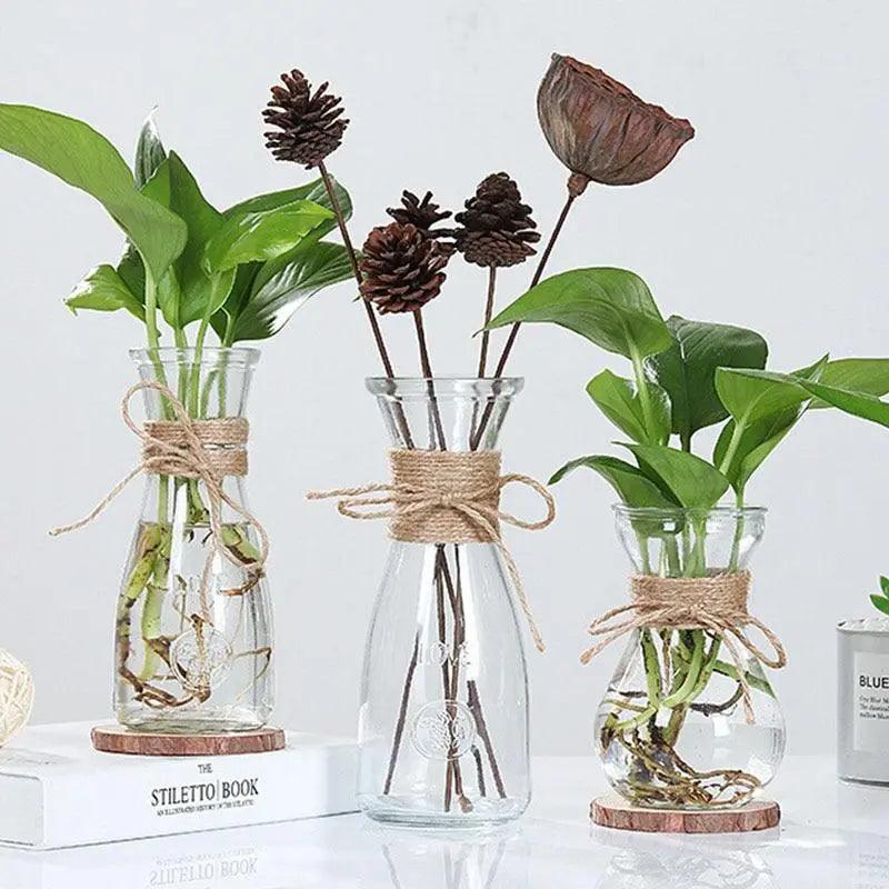 Vases en verre minimalistes | Décorations de table élégantes pour fleurs et hydroponie