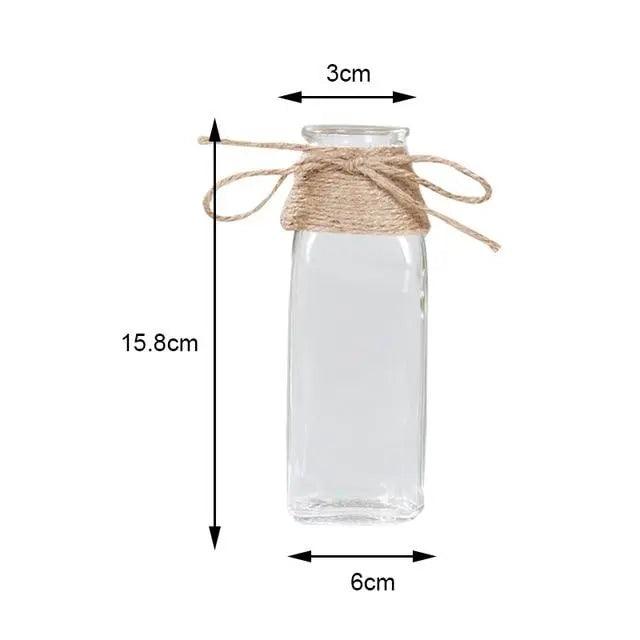 Vases en verre minimalistes | Décorations de table élégantes pour fleurs et hydroponie