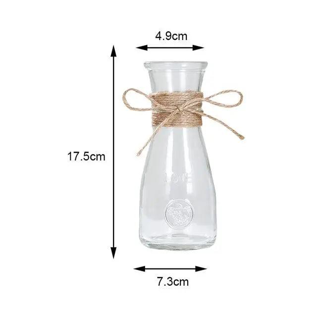 Vases en verre minimalistes | Décorations de table élégantes pour fleurs et hydroponie
