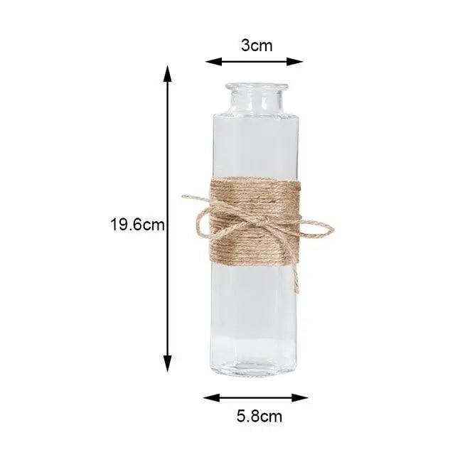 Vases en verre minimalistes | Décorations de table élégantes pour fleurs et hydroponie