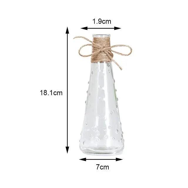 Vases en verre minimalistes | Décorations de table élégantes pour fleurs et hydroponie
