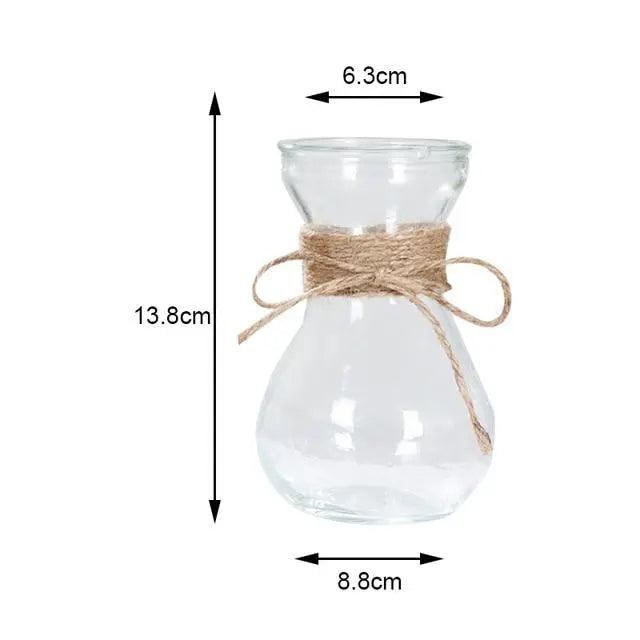 Vases en verre minimalistes | Décorations de table élégantes pour fleurs et hydroponie