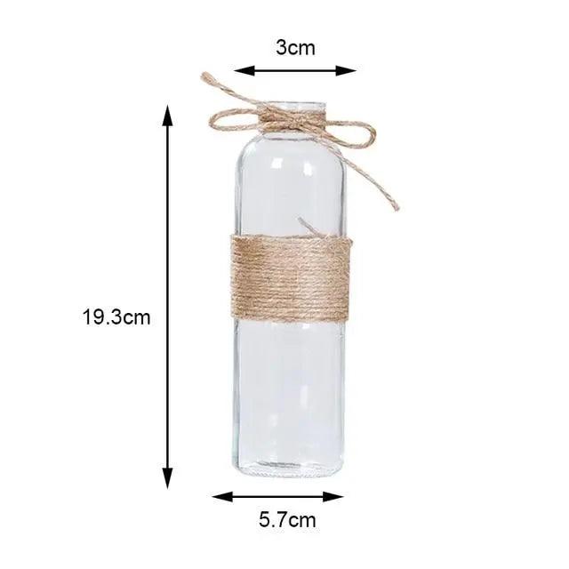 Vases en verre minimalistes | Décorations de table élégantes pour fleurs et hydroponie