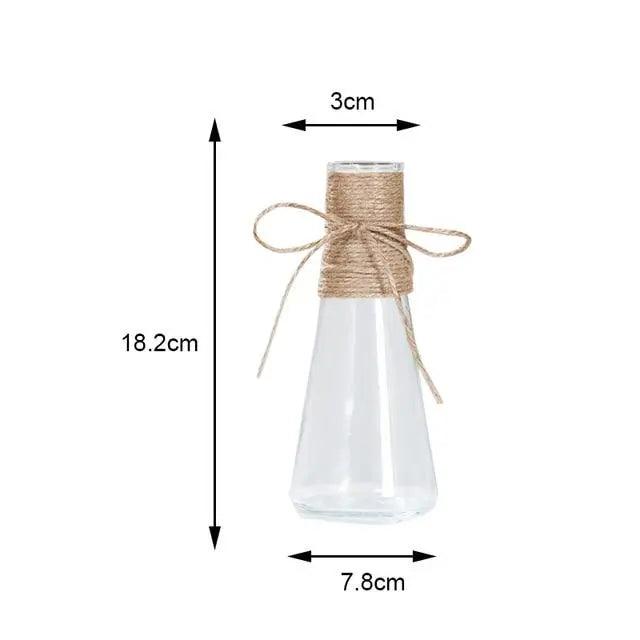 Vases en verre minimalistes | Décorations de table élégantes pour fleurs et hydroponie