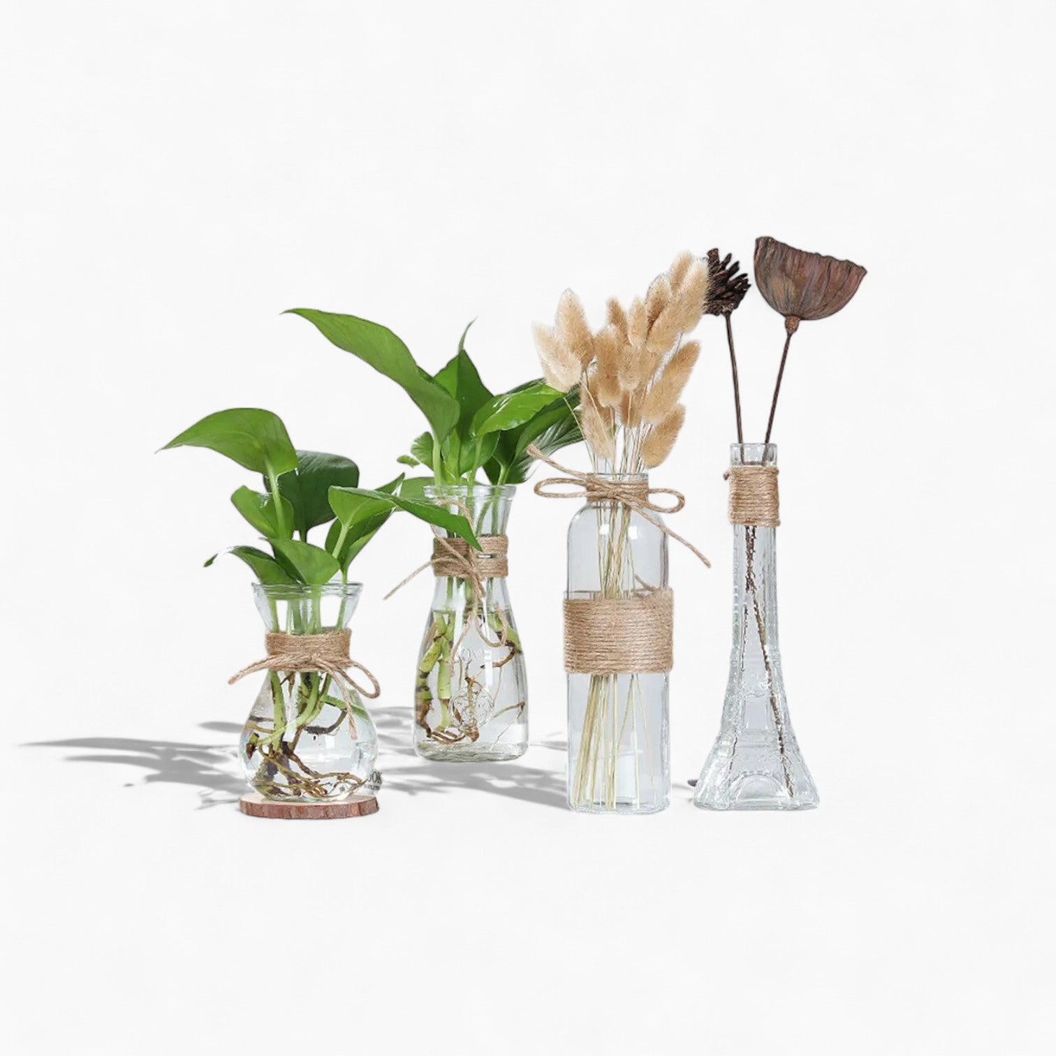 Vases en verre minimalistes | Décorations de table élégantes pour fleurs et hydroponie