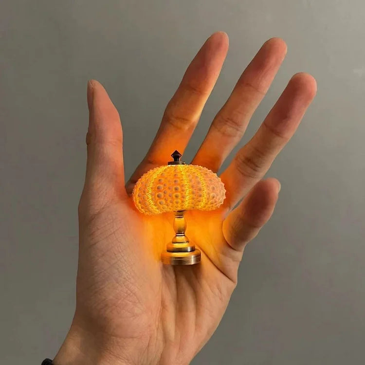 OceanDream - Veilleuse Océan | Lampe de nuit artisanale à base de coquillages naturels