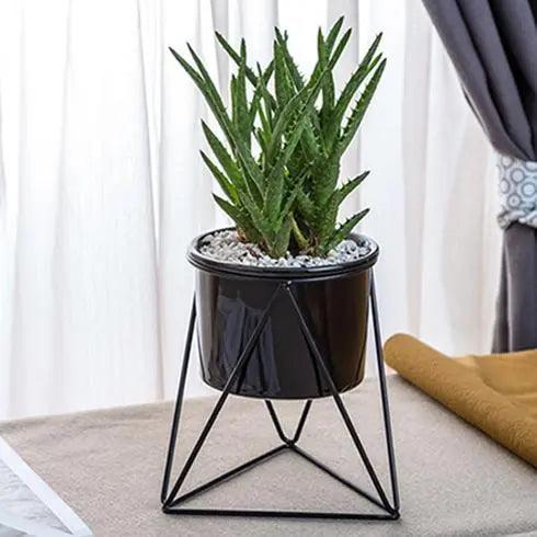 Pot en céramique avec support en fer | Jardinière moderne pour plantes aériennes et succulentes