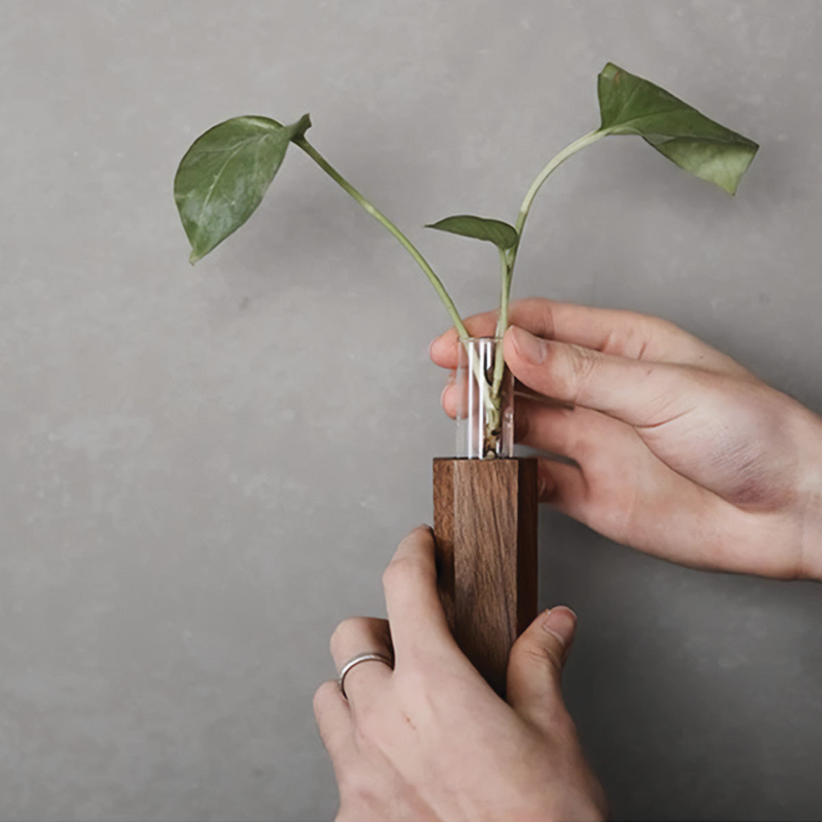 Vases muraux en forme de flûte à fleurs | Jardinières verticales élégantes