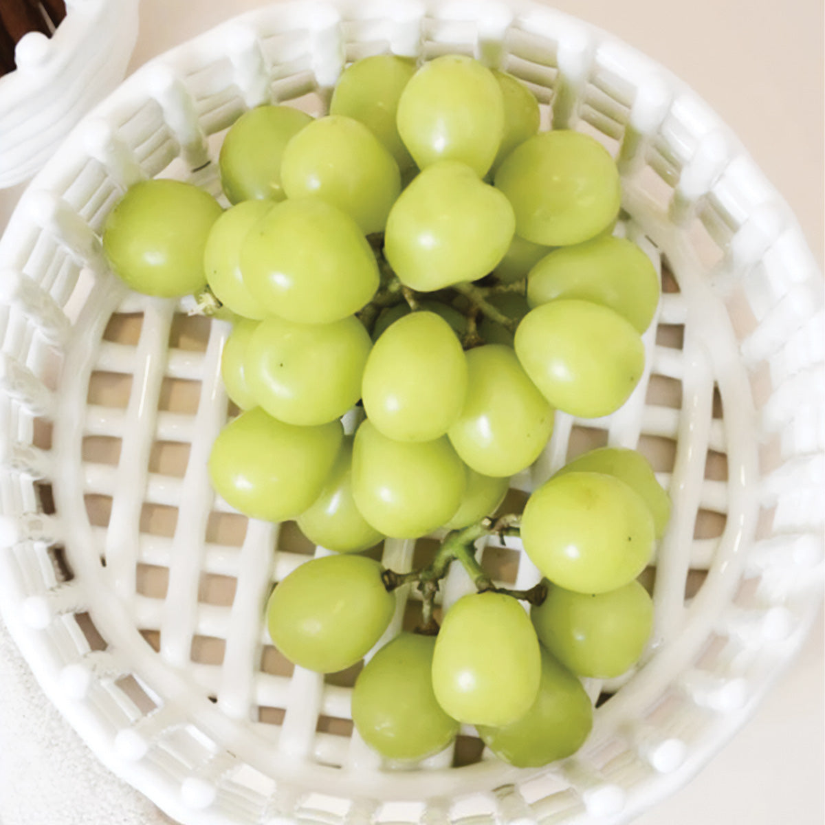 Collection Forma Basket | Solutions de rangement élégantes