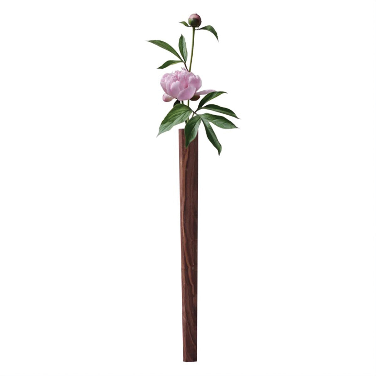 Vases muraux en forme de flûte à fleurs | Jardinières verticales élégantes