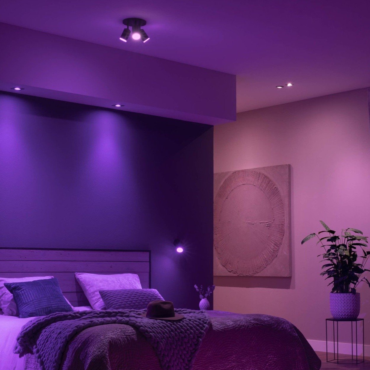 Ampoule LED WiFi | Sans fil, Luminosité réglable