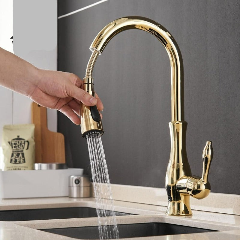 Robinet de cuisine escamotable Anton | Fonctionnalité élégante et design moderne