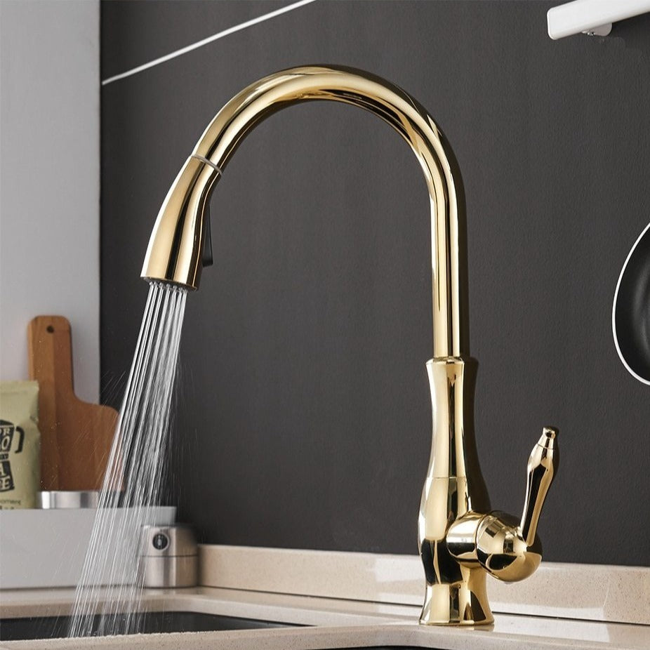 Robinet de cuisine escamotable Anton | Fonctionnalité élégante et design moderne